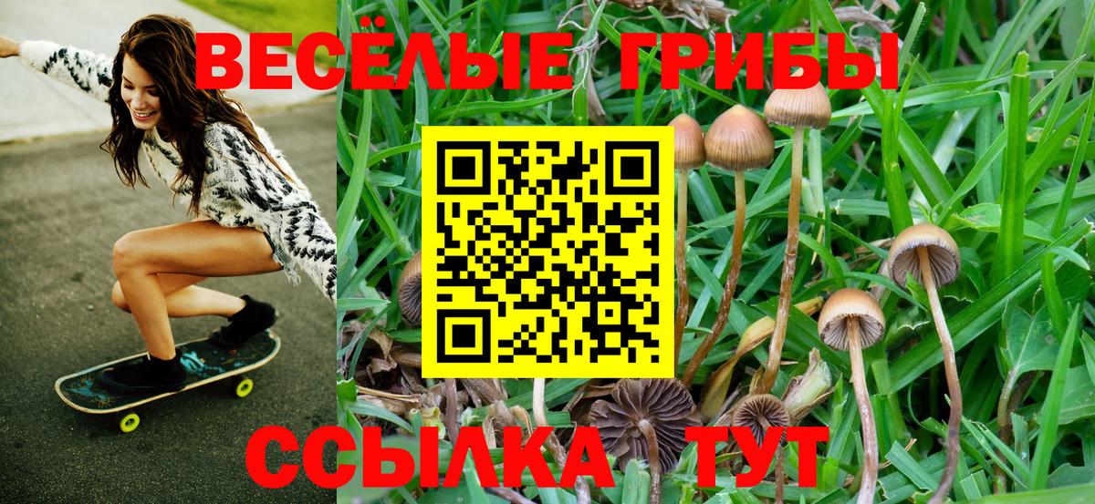 Галлюциногенные грибы ЛСД  Вход с VPN  Галлюциногенные грибы Magic Shrooms  Знаменск 